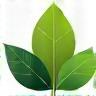 Icône produits naturels et écologiques